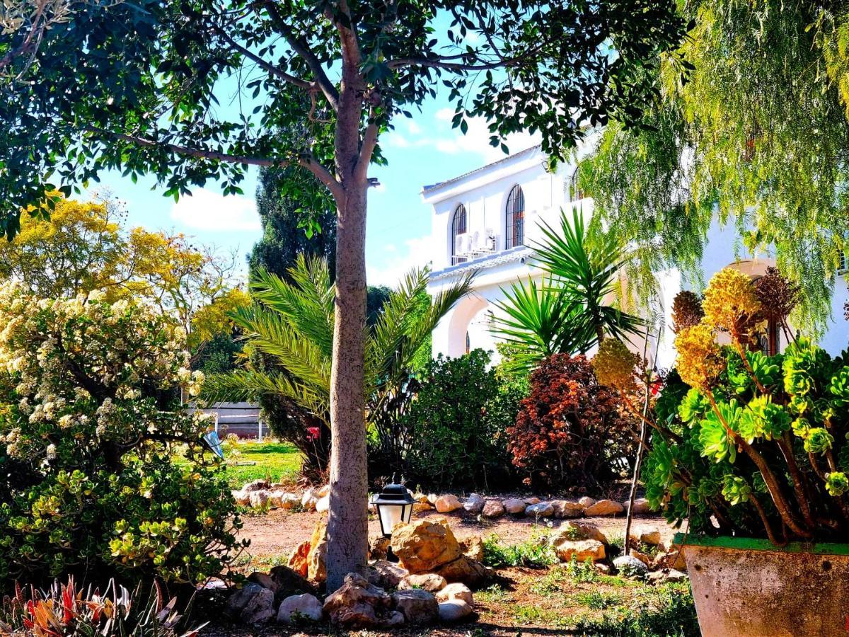 Chalet Alicante Sol Y Luz San Vicente Raspeig Eksteriør bilde
